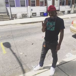 Meet your Posher, York